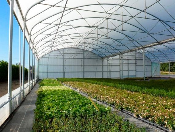 best quality multispan greenhouse