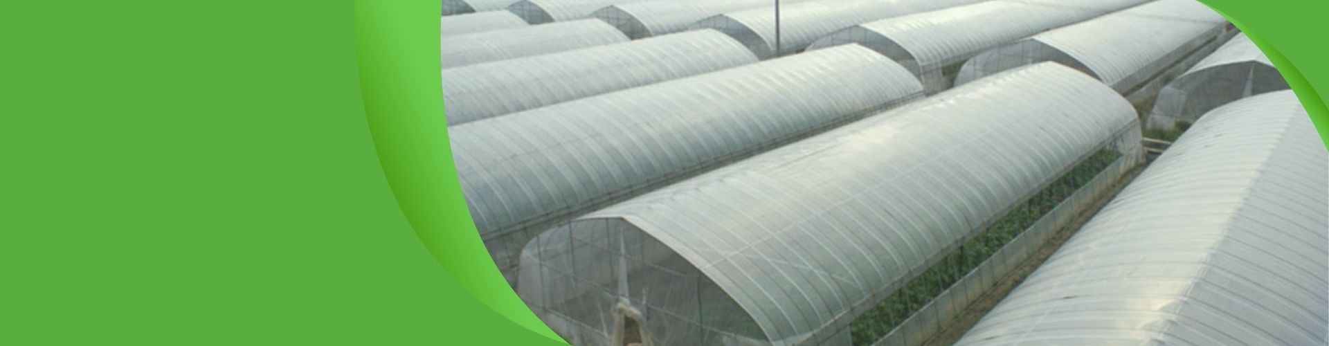 commercial hydroponic greenhouse banner