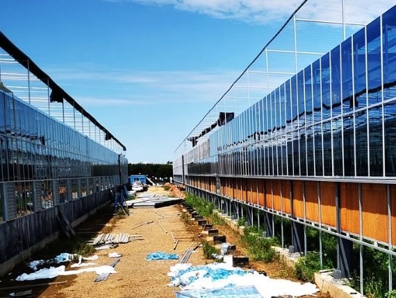 greenhouse construction materials
