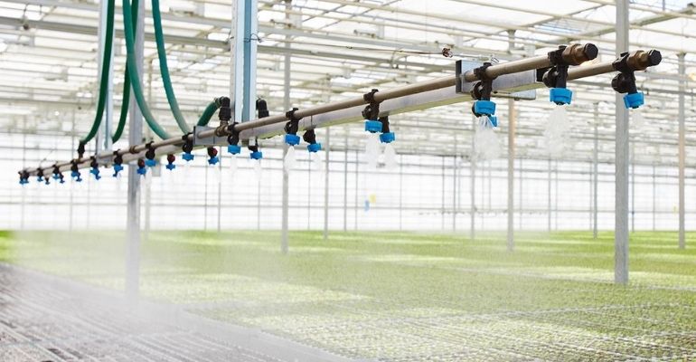 how much water greenhouse needs