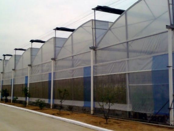 more space for more yield