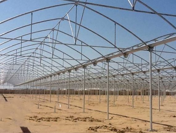 multispan greenhouse assembly