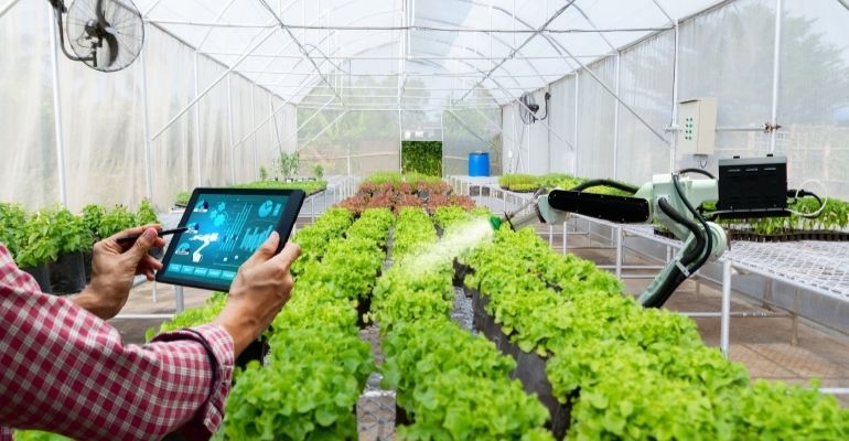 multispan greenhouse automation