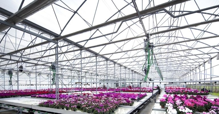 multispan greenhouse design