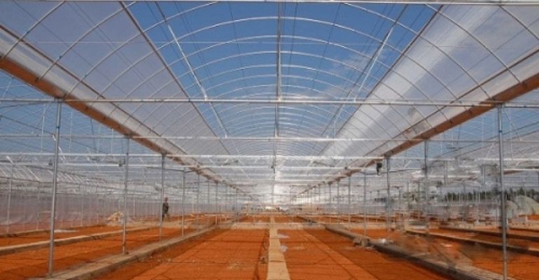 multispan greenhouse for winter