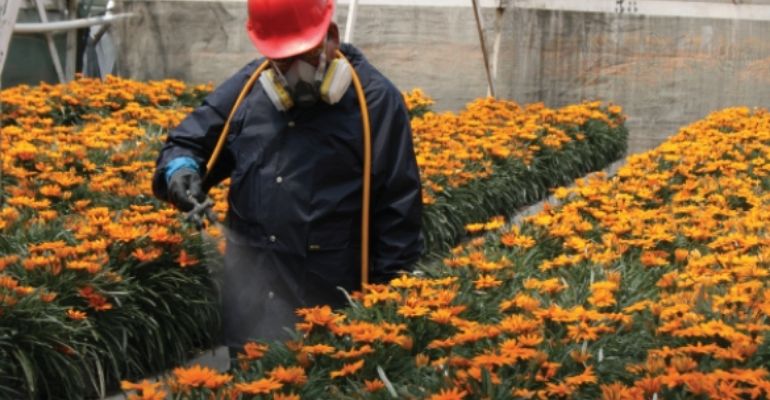 multispan greenhouse pest control