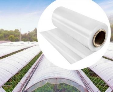 plastic film greenhouse farm