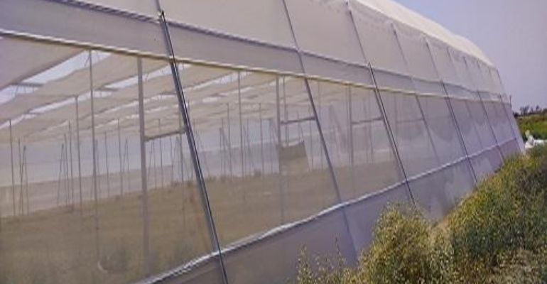 plastic film greenhouse insect netting