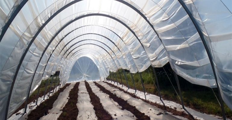 plastic film ground covers
