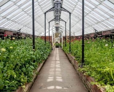 polycarbonate greenhouse20