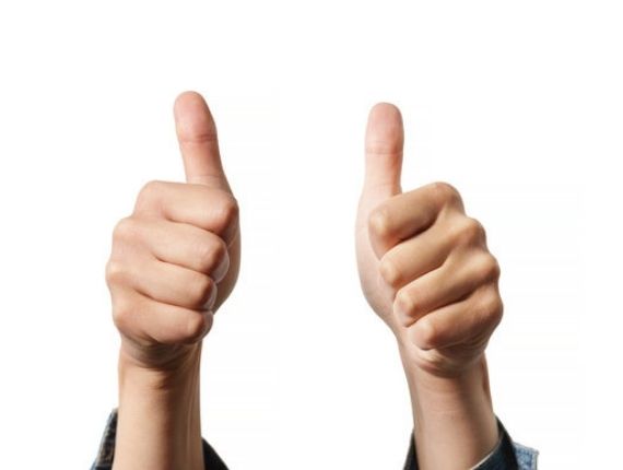 satisfaction guarantee on greenhouses