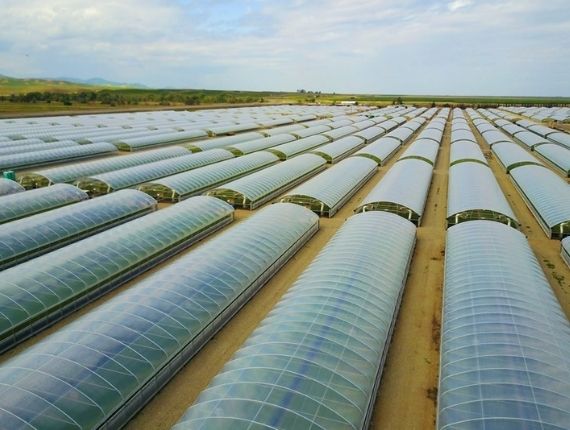 secured greenhouse farming