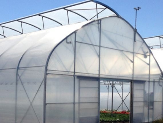 top quality plastic film greenhouse
