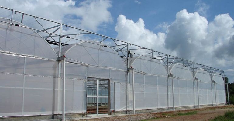 what is plastic film greenhouse