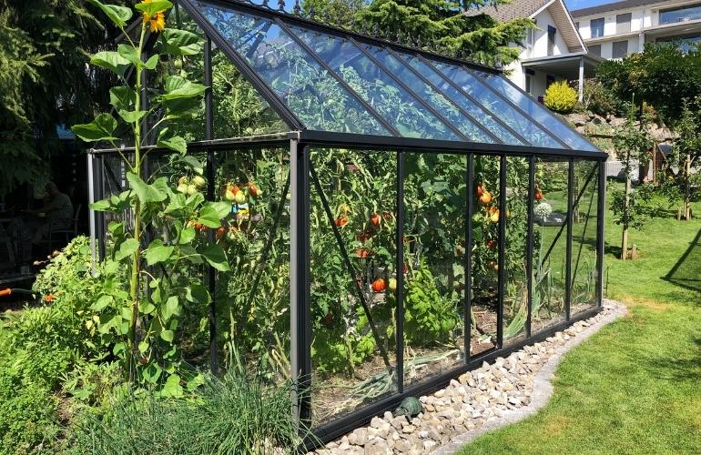 Big greenhouse