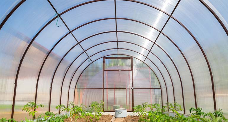Commercial Polycarbonate Greenhouse Manufacturing