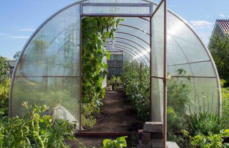 Plastic greenhouse