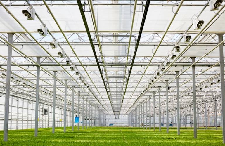 Elife greenhouse