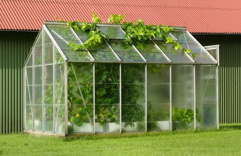Greenhouse Made From Polycarbonate Panels