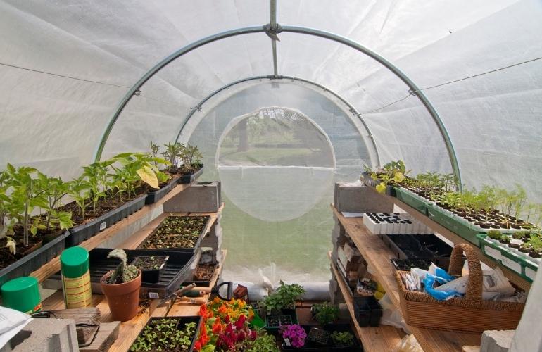 Greenhouse