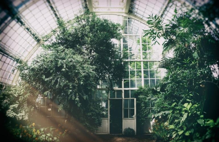 Greenhouse
