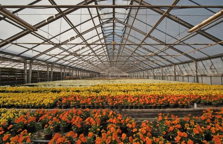 Industrial Greenhouse Steel Frame