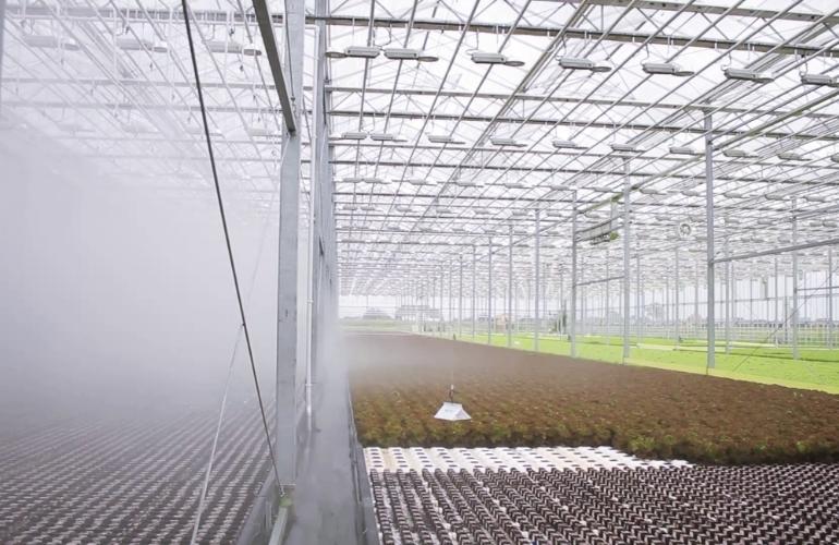 Industrial Greenhouse