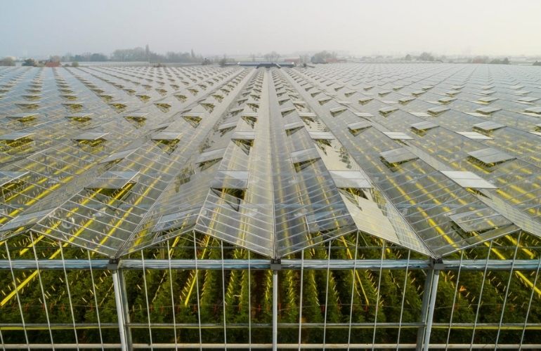 Industrial greenhouse