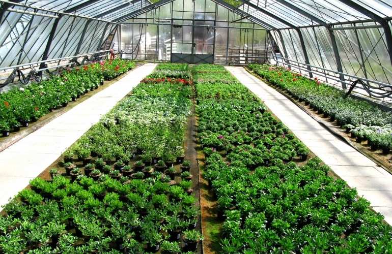 Industrial greenhouse