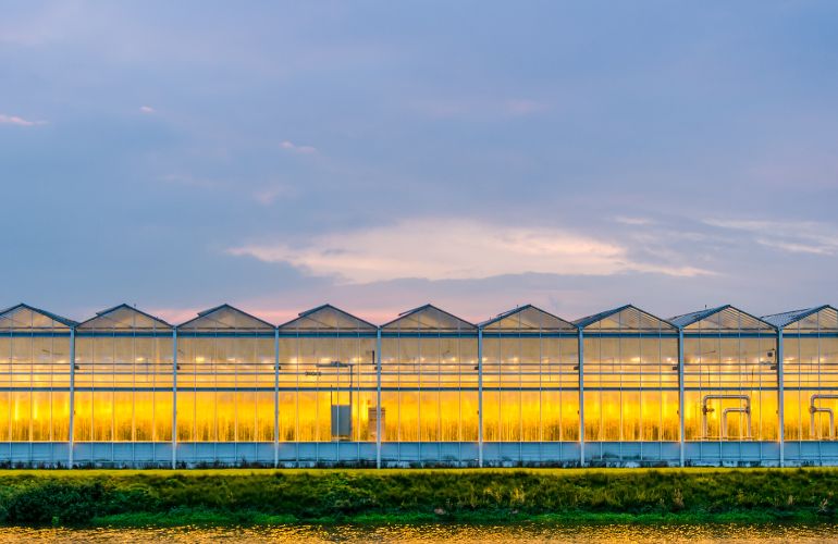 Industrial greenhouse