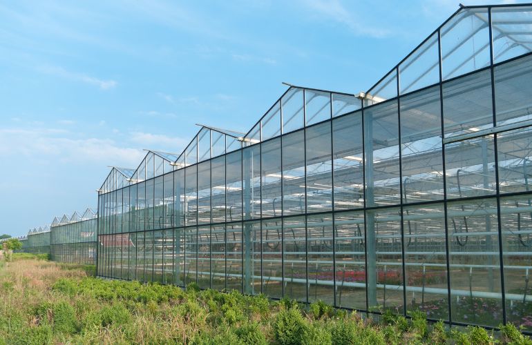 Industrial greenhouse