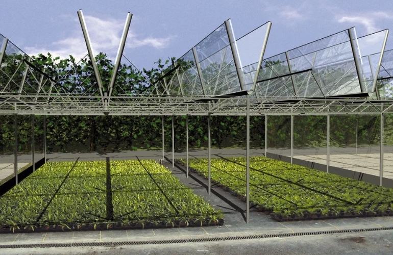 Industrial greenhouse frame