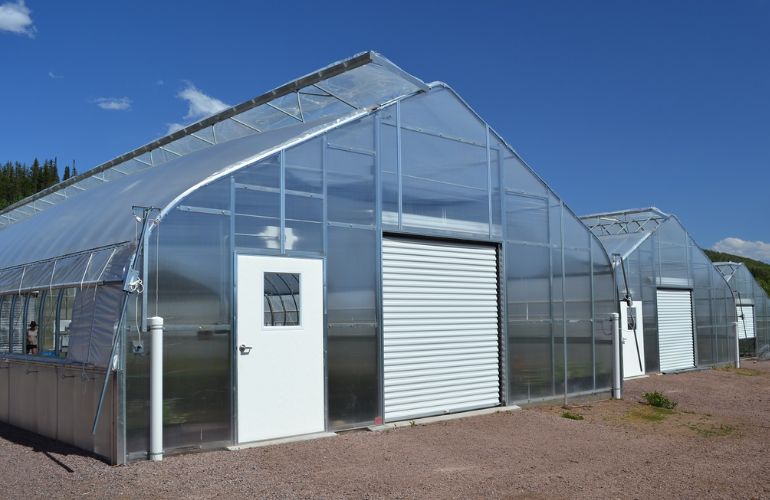 Polycarbonate Panels Greenhouse