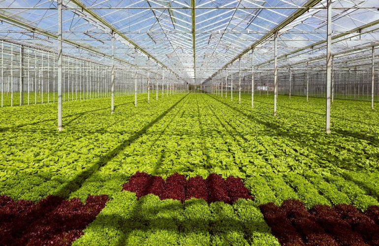 Small farm greenhouse