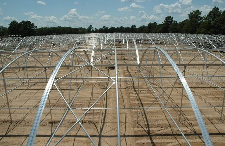 Big greenhouse construction