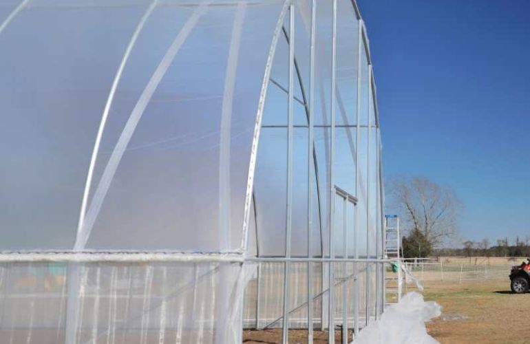 Cheap price plastic film greenhouse