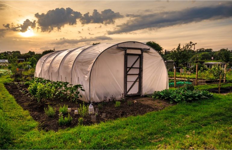 Clear greenhouse covering