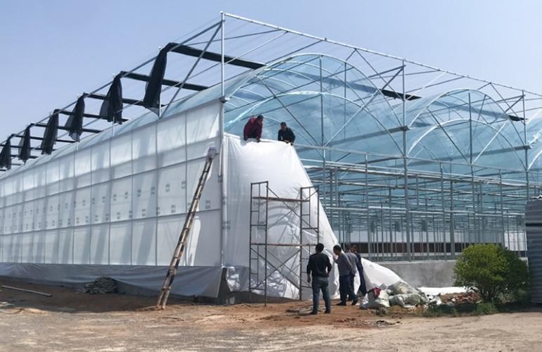 Constructing a Multi-Span Big Greenhouse