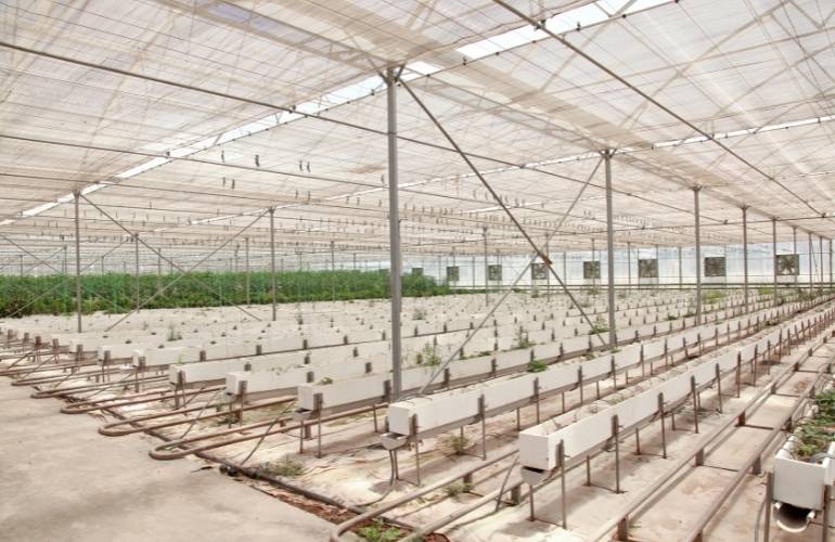 Durable industrial greenhouse