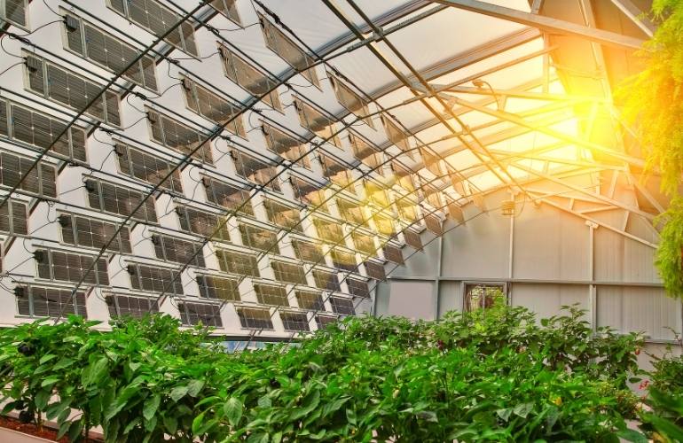 Durable large greenhouse