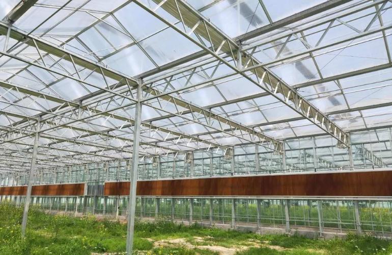 Elife Multispan Glass Greenhouse