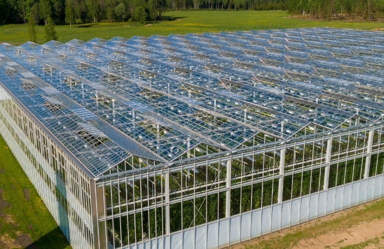 Elife Multispan Greenhouse.