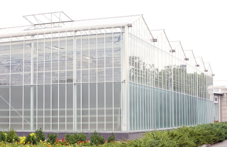 Elife Prime Quality Greenhouse