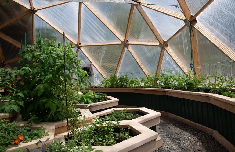 Elife geodesic dome greenhouse