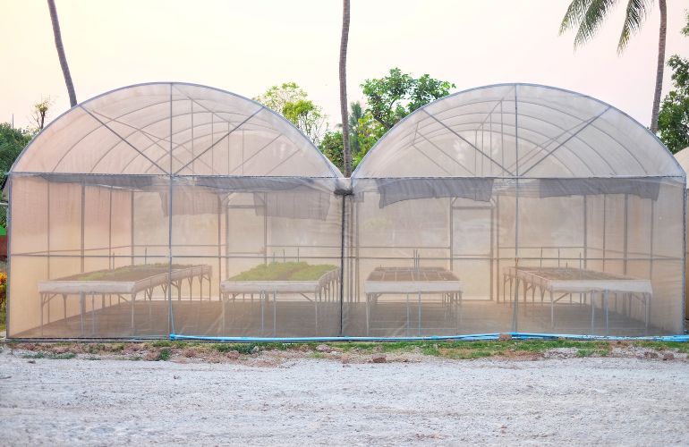 Elife glass greenhouse