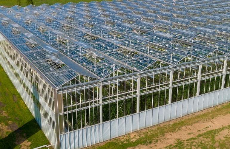 Elife large greenhouse