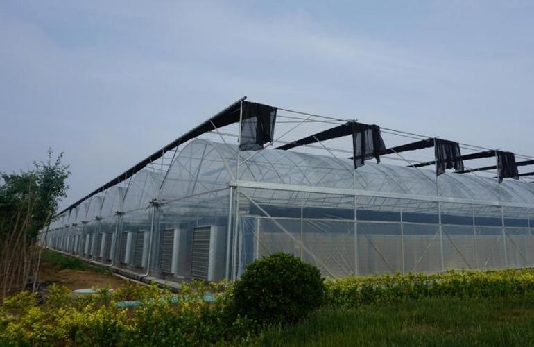 Energy Saving Multispan Greenhouse