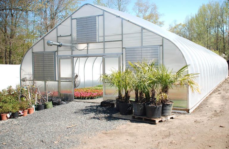 Free-standing Greenhouses with multiple spans