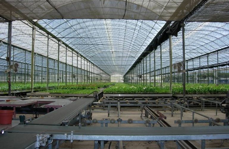 Glass greenhouse with many spans