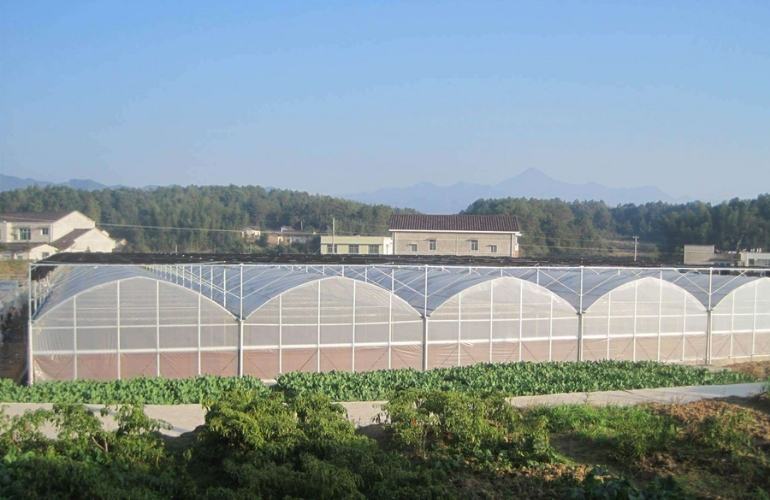 Gothic greenhouses with many spans